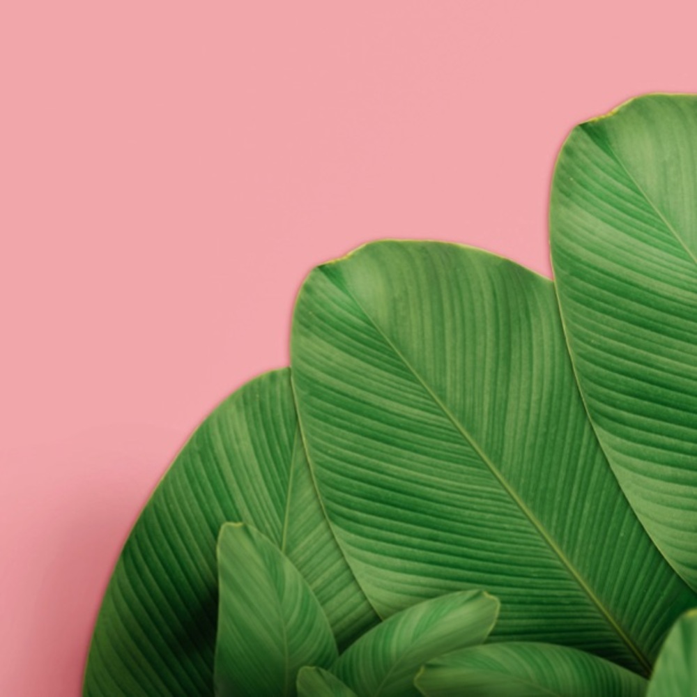 Hello, Poshmark community!